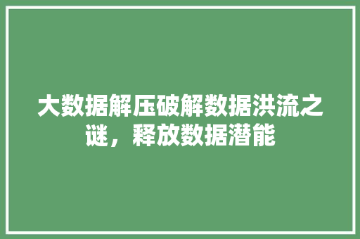 大数据解压破解数据洪流之谜，释放数据潜能
