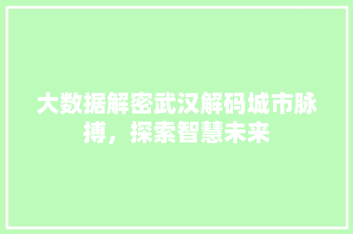 大数据解密武汉解码城市脉搏，探索智慧未来  第1张