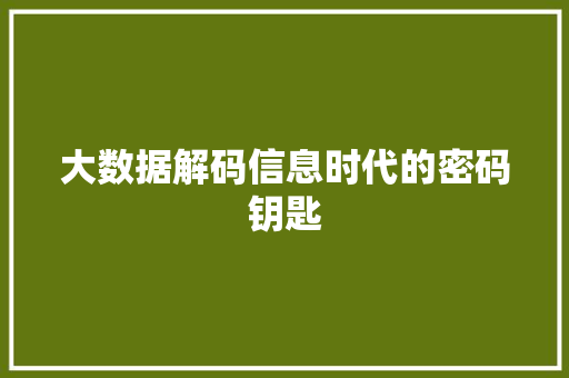 大数据解码信息时代的密码钥匙