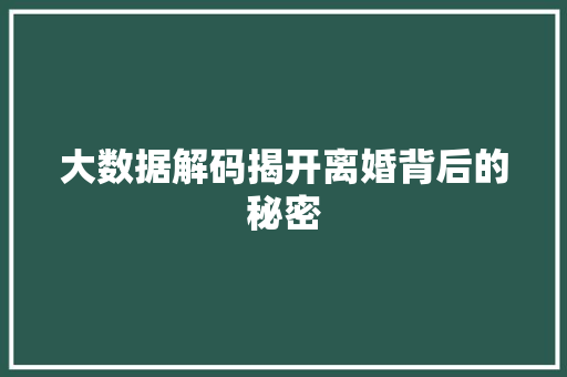 大数据解码揭开离婚背后的秘密