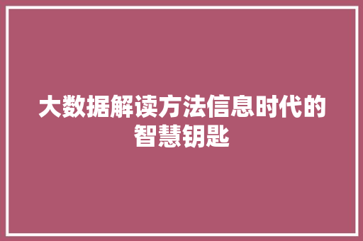 大数据解读方法信息时代的智慧钥匙