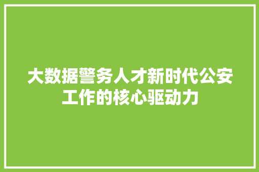 大数据警务人才新时代公安工作的核心驱动力  第1张