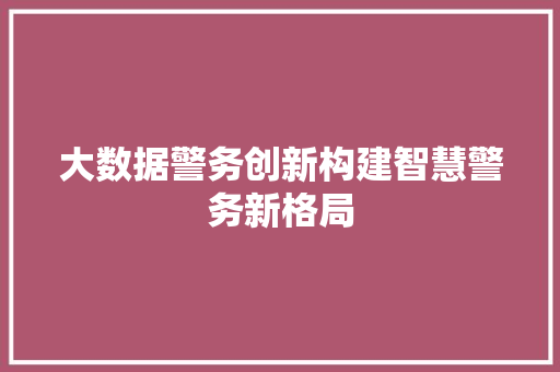大数据警务创新构建智慧警务新格局  第1张