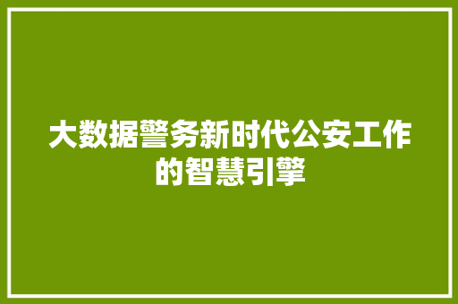 大数据警务新时代公安工作的智慧引擎  第1张