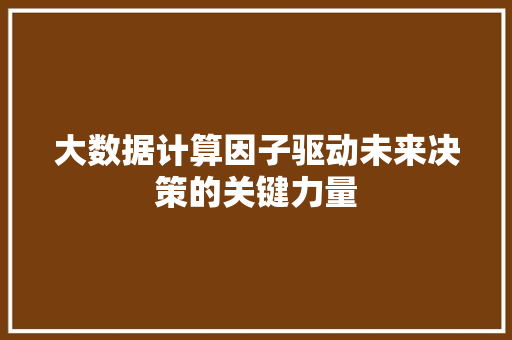 大数据计算因子驱动未来决策的关键力量