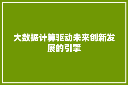 大数据计算驱动未来创新发展的引擎  第1张