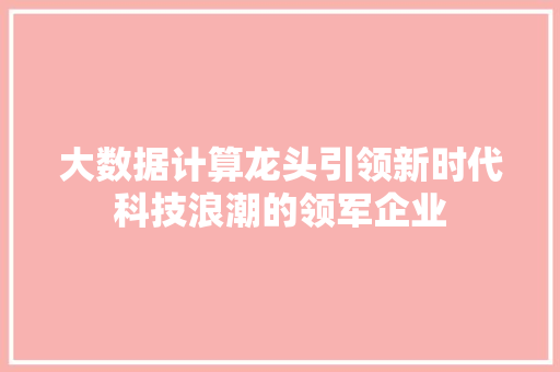 大数据计算龙头引领新时代科技浪潮的领军企业  第1张