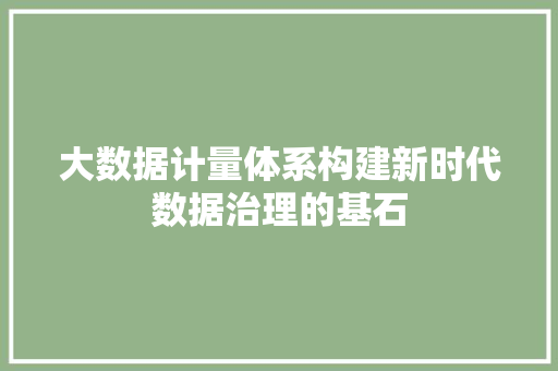 大数据计量体系构建新时代数据治理的基石