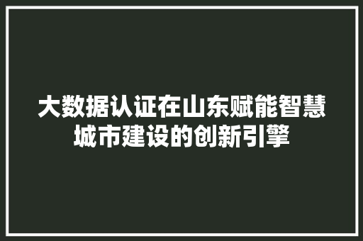 大数据认证在山东赋能智慧城市建设的创新引擎