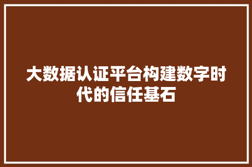 大数据认证平台构建数字时代的信任基石  第1张