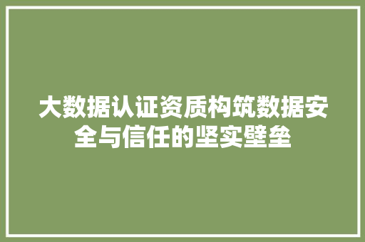 大数据认证资质构筑数据安全与信任的坚实壁垒