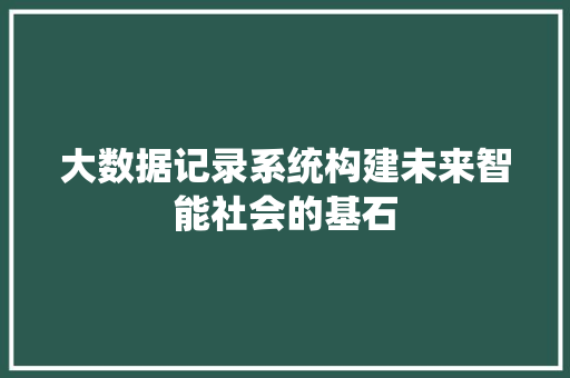 大数据记录系统构建未来智能社会的基石