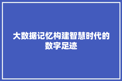 大数据记忆构建智慧时代的数字足迹