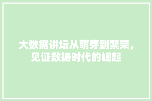 大数据讲坛从萌芽到繁荣，见证数据时代的崛起