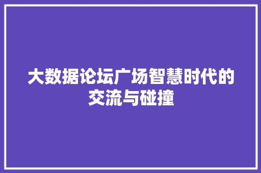 大数据论坛广场智慧时代的交流与碰撞