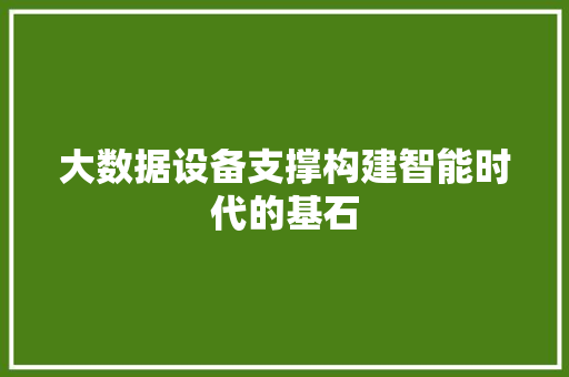 大数据设备支撑构建智能时代的基石  第1张