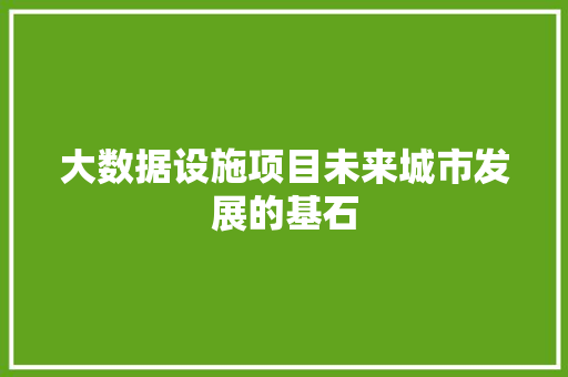 大数据设施项目未来城市发展的基石  第1张