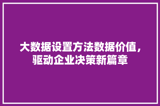 大数据设置方法数据价值，驱动企业决策新篇章