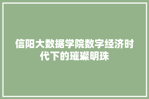 信阳大数据学院数字经济时代下的璀璨明珠