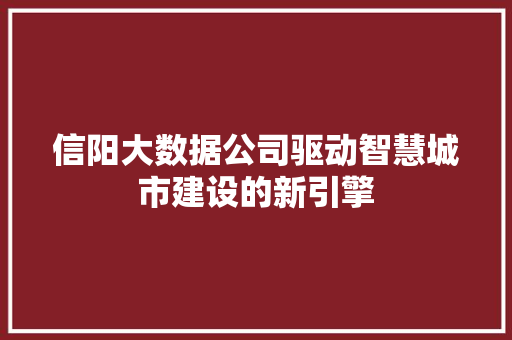 信阳大数据公司驱动智慧城市建设的新引擎