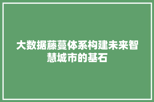 大数据藤蔓体系构建未来智慧城市的基石