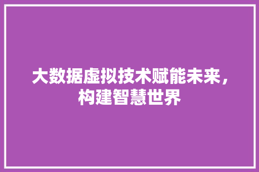 大数据虚拟技术赋能未来，构建智慧世界