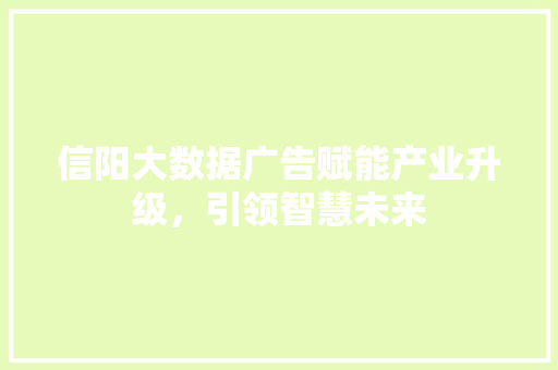 信阳大数据广告赋能产业升级，引领智慧未来