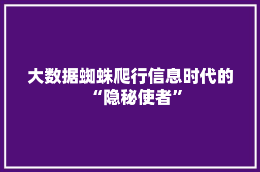 大数据蜘蛛爬行信息时代的“隐秘使者”
