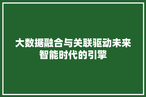大数据融合与关联驱动未来智能时代的引擎