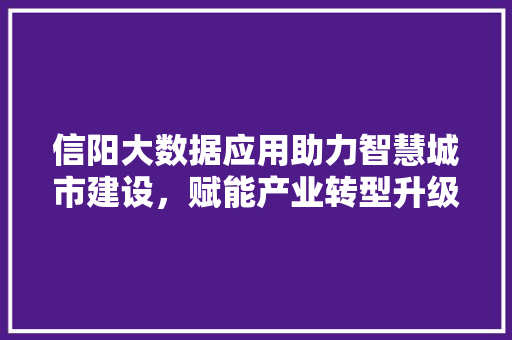 信阳大数据应用助力智慧城市建设，赋能产业转型升级