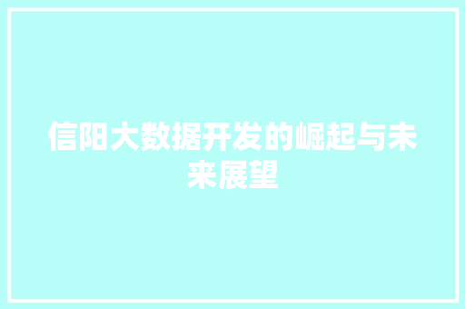 信阳大数据开发的崛起与未来展望