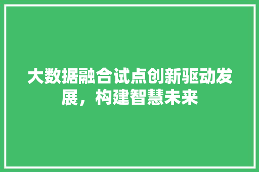 大数据融合试点创新驱动发展，构建智慧未来
