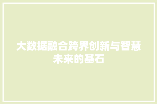 大数据融合跨界创新与智慧未来的基石  第1张