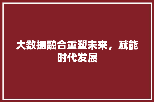 大数据融合重塑未来，赋能时代发展  第1张