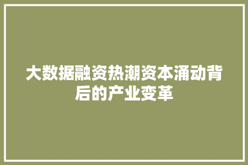 大数据融资热潮资本涌动背后的产业变革  第1张