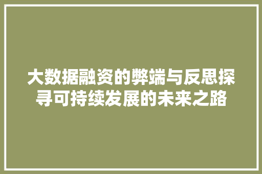 大数据融资的弊端与反思探寻可持续发展的未来之路  第1张