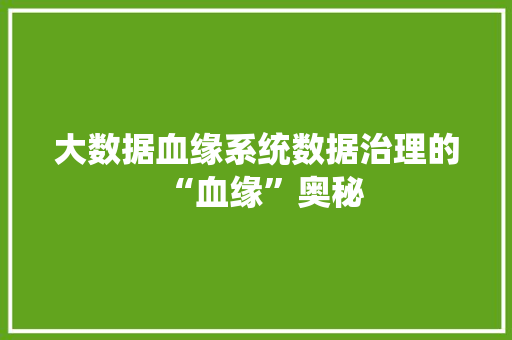 大数据血缘系统数据治理的“血缘”奥秘