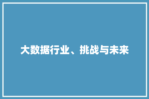 大数据行业、挑战与未来  第1张