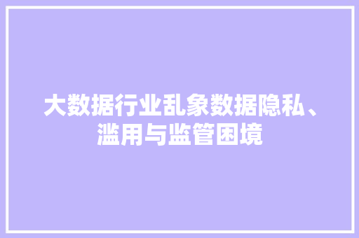 大数据行业乱象数据隐私、滥用与监管困境  第1张