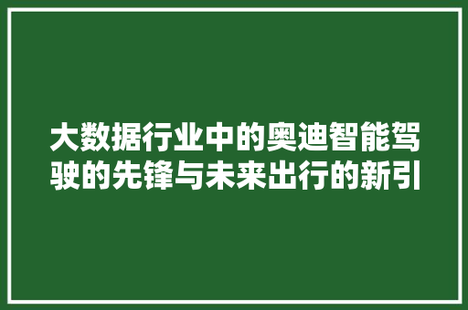 大数据行业中的奥迪智能驾驶的先锋与未来出行的新引擎  第1张