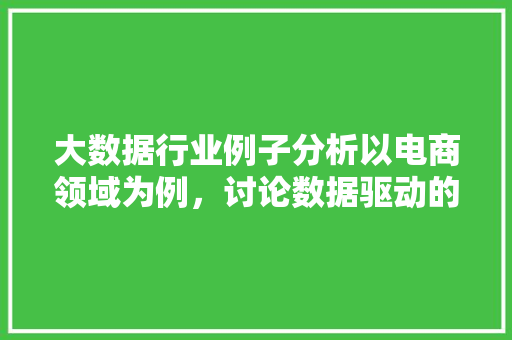 大数据行业例子分析以电商领域为例，讨论数据驱动的商业变革  第1张