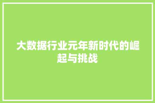 大数据行业元年新时代的崛起与挑战  第1张