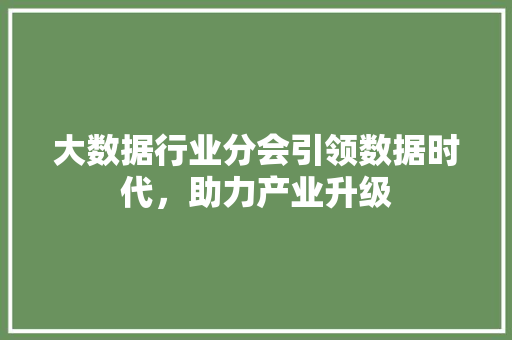 大数据行业分会引领数据时代，助力产业升级