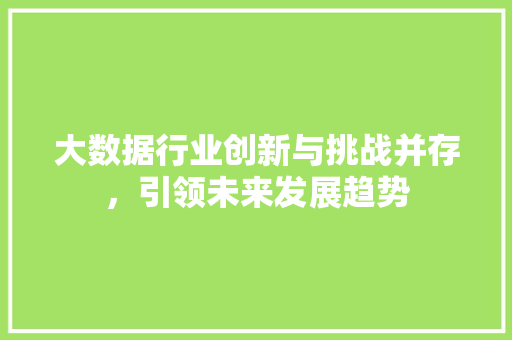 大数据行业创新与挑战并存，引领未来发展趋势  第1张