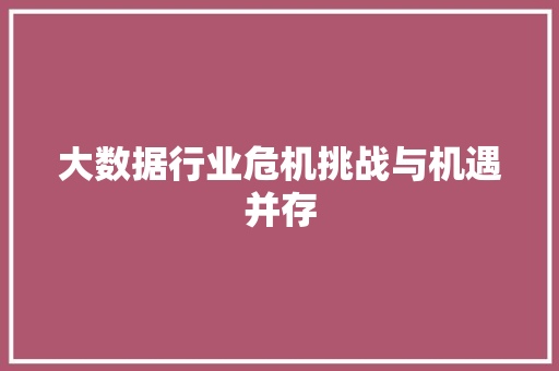 大数据行业危机挑战与机遇并存  第1张