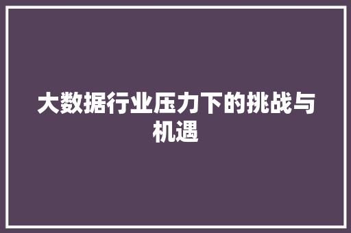 大数据行业压力下的挑战与机遇  第1张