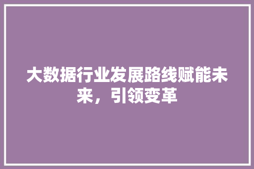 大数据行业发展路线赋能未来，引领变革  第1张