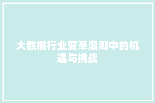大数据行业变革浪潮中的机遇与挑战  第1张