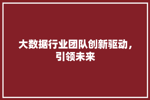 大数据行业团队创新驱动，引领未来
