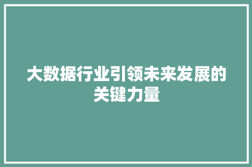 大数据行业引领未来发展的关键力量  第1张